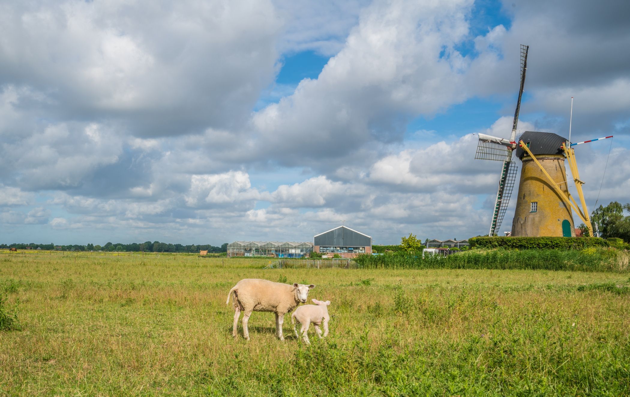Foto 57 van Rijksstraatweg 23