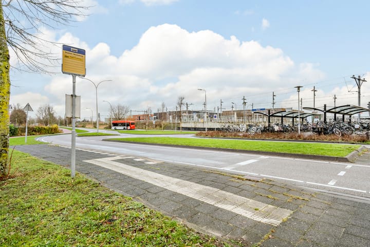 Foto 85 van Laan van Floris de Vijfde 145