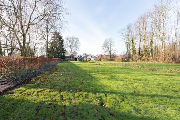 Photo 49 of Kolhornlaan 24