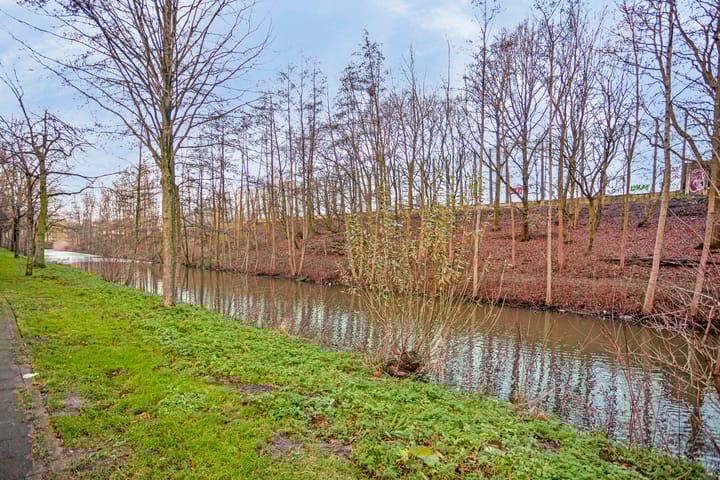 Foto 26 van Loenermark 295