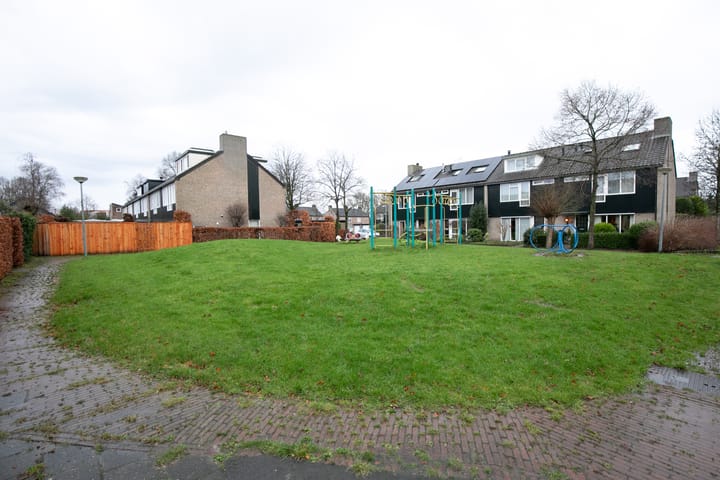 Foto 47 van Bijenvlucht 10