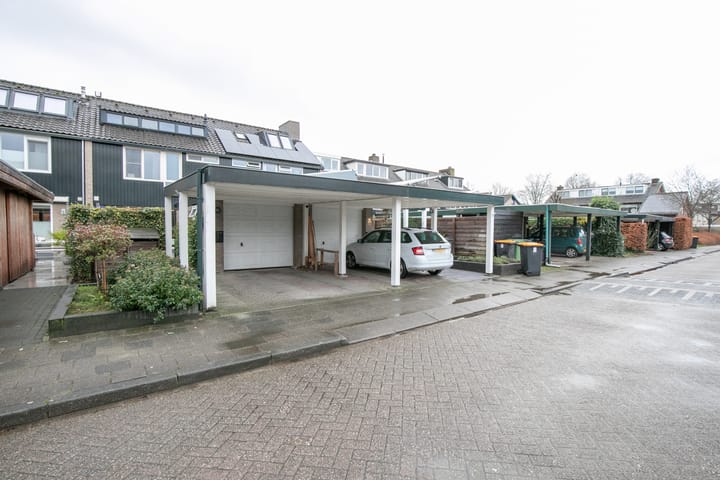 Foto 49 van Bijenvlucht 10