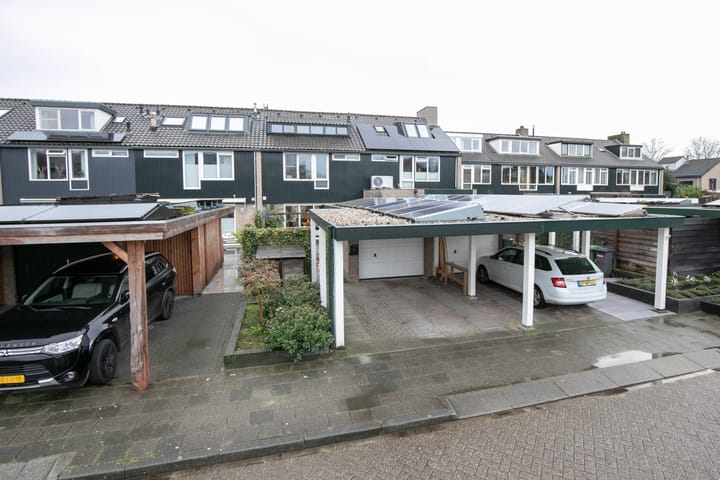 Foto 50 van Bijenvlucht 10