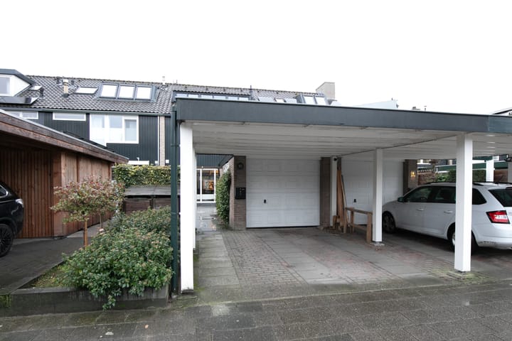 Foto 51 van Bijenvlucht 10