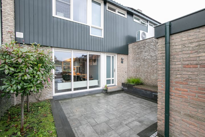 Foto 53 van Bijenvlucht 10