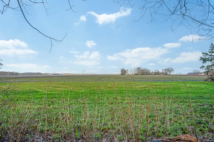 Foto 54 van Wedderweg 24