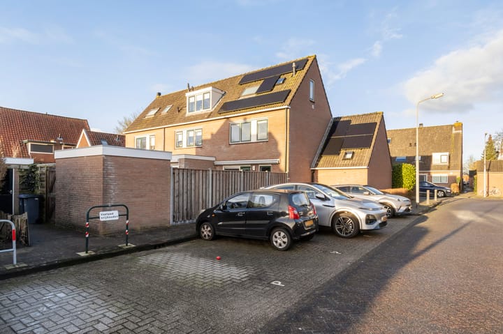 Foto 19 van Dotterbloem 1