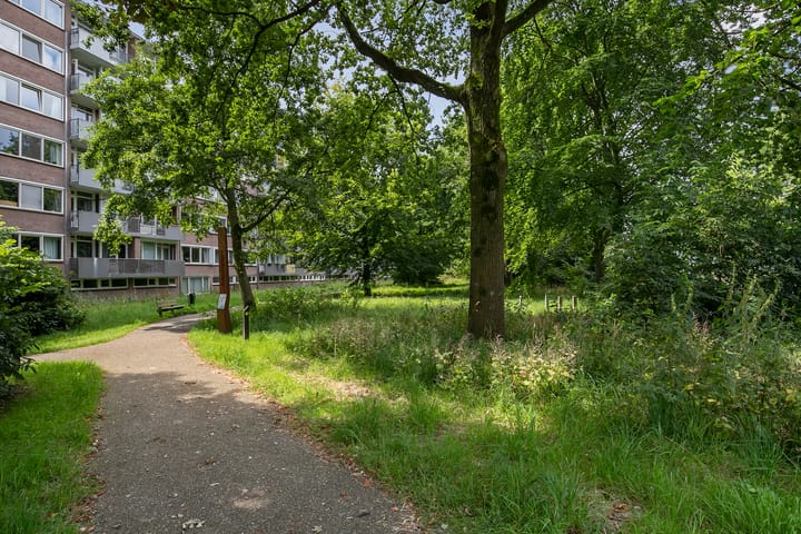 Foto 39 van Westpoint 23