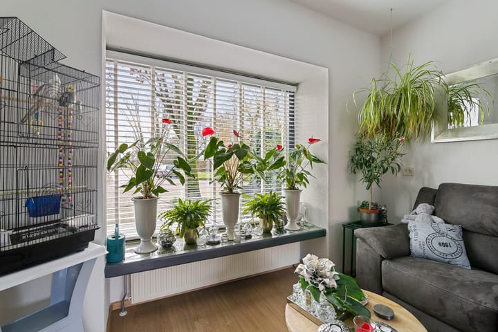 Foto 20 van van Lidtstraat 20