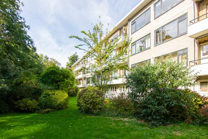 Foto 25 van Laurens Reaellaan 10-I