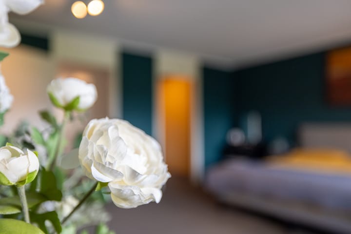 Foto 24 van Zwaenenstede 45