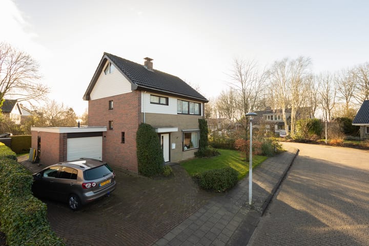 Foto 4 van de Kemphaan 15