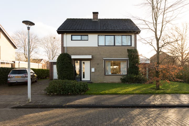 Foto 5 van de Kemphaan 15