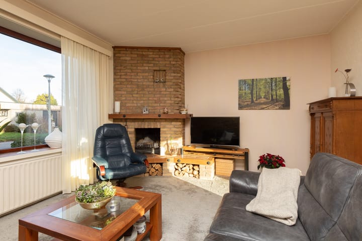 Foto 7 van de Kemphaan 15