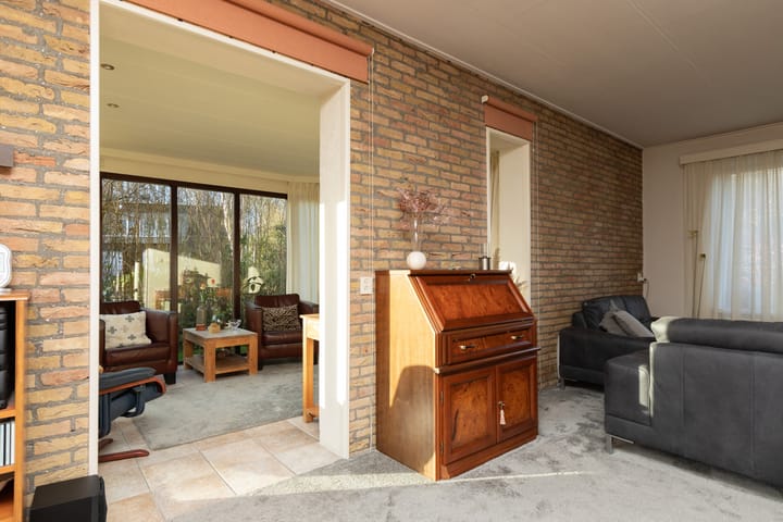 Foto 10 van de Kemphaan 15