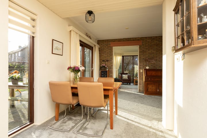 Foto 14 van de Kemphaan 15