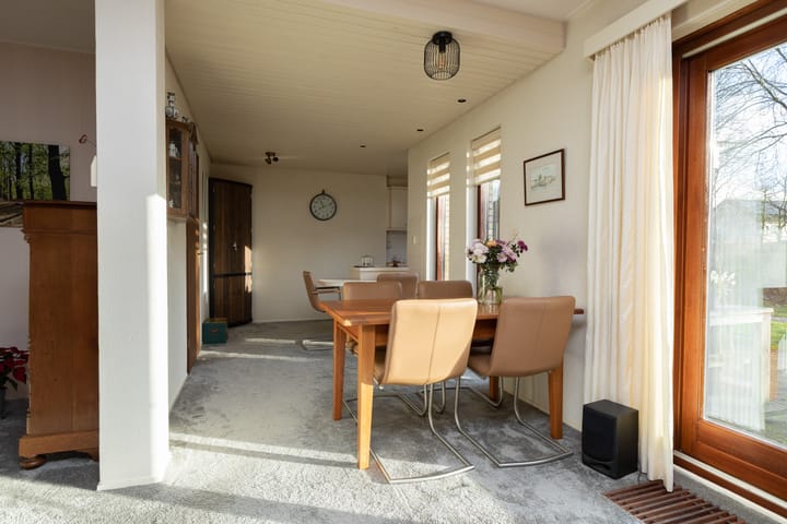 Foto 15 van de Kemphaan 15