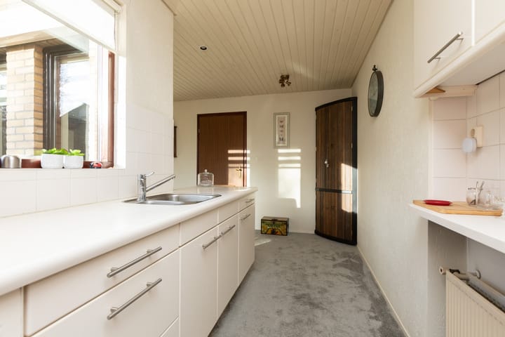 Foto 18 van de Kemphaan 15