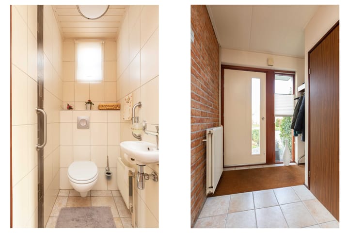 Foto 21 van de Kemphaan 15