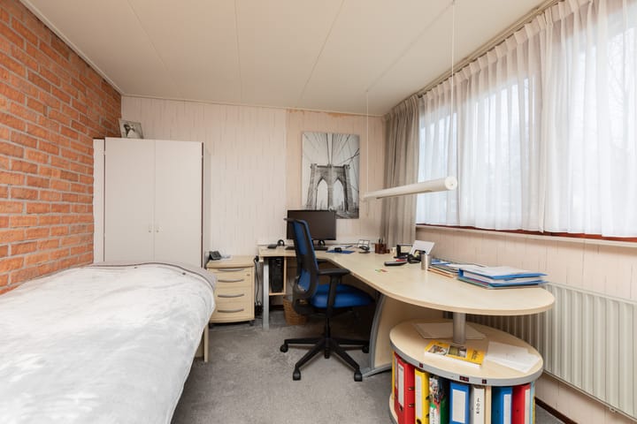 Foto 28 van de Kemphaan 15