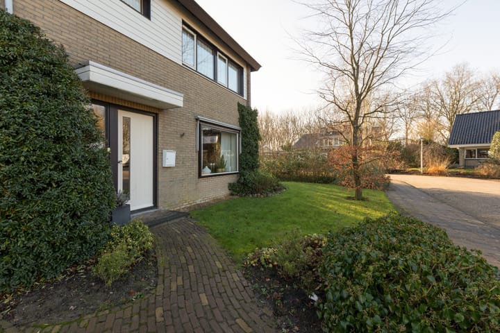 Foto 46 van de Kemphaan 15