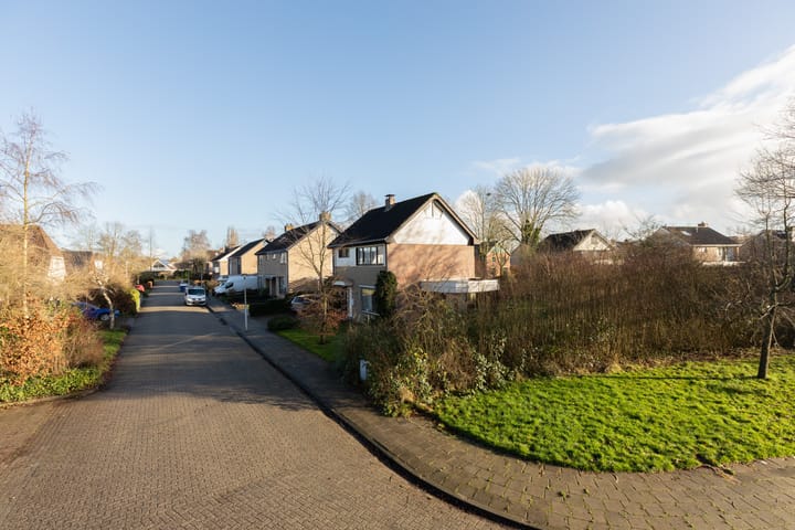 Foto 48 van de Kemphaan 15