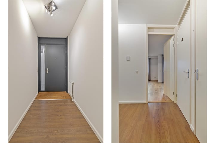 Foto 2 van Zwaluw 31