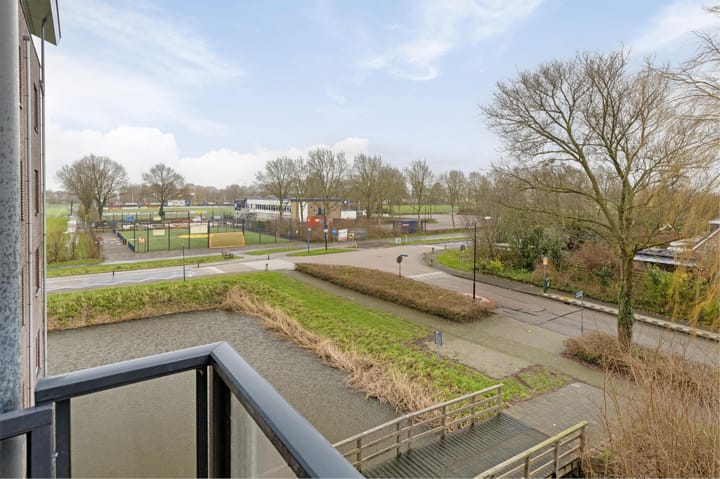 Foto 17 van Zwaluw 31