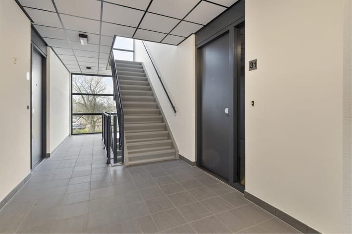 Foto 20 van Zwaluw 31