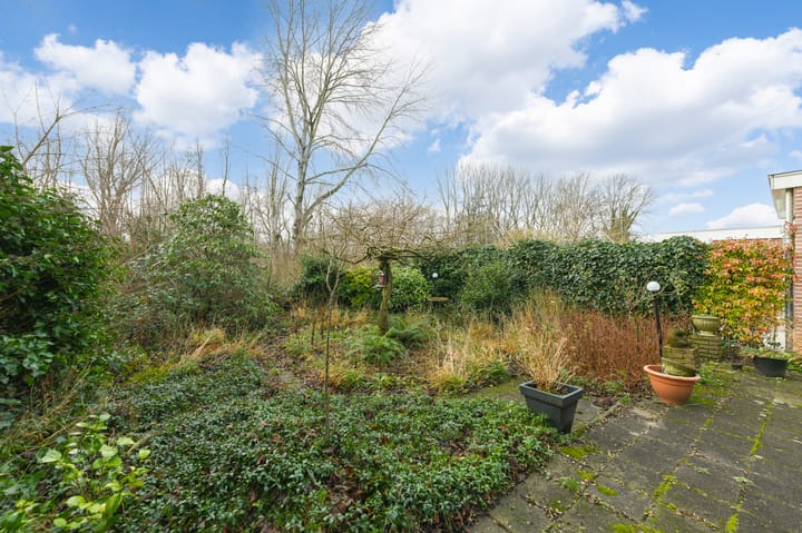 Foto 19 van Delta 71