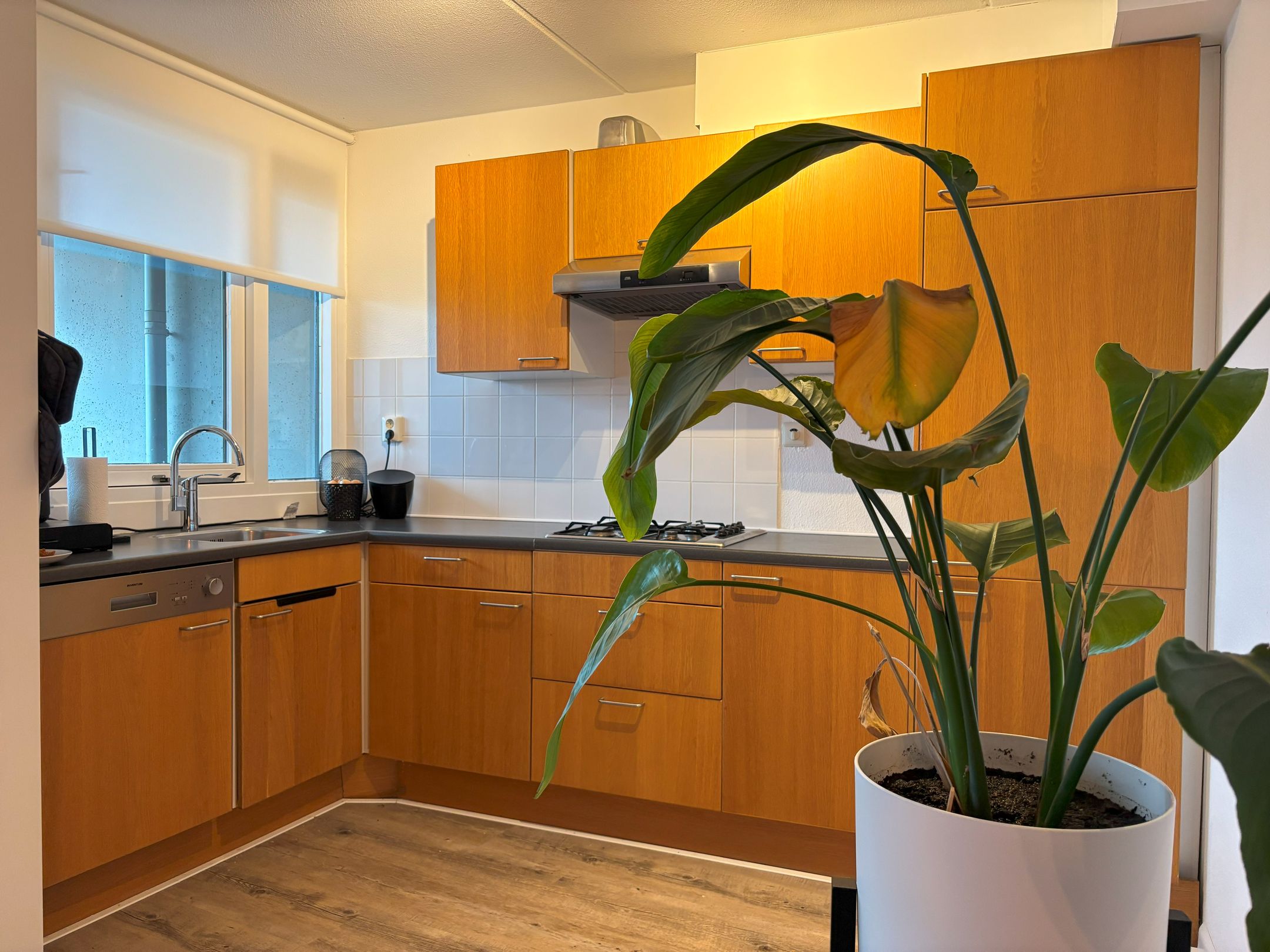 Foto 15 van de Beente 64-C