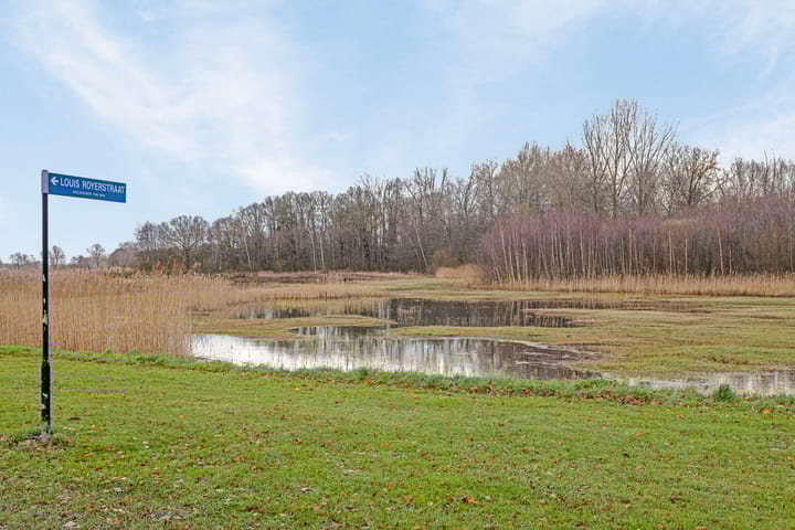 Foto 58 van Louis Royerstraat 8