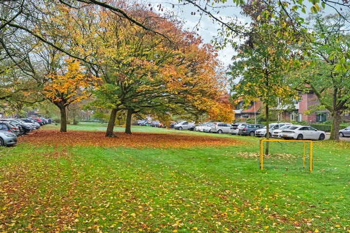 Foto 45 van Goeman Borgesiusplein 19