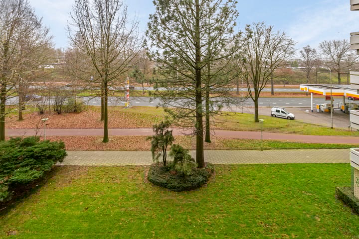 Foto 20 van de Koppele 247