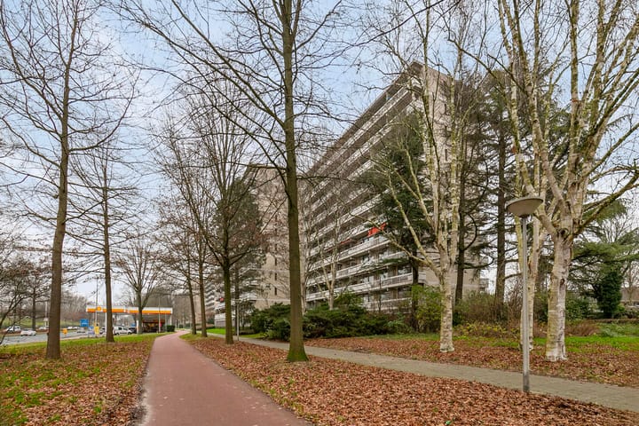 Foto 23 van de Koppele 247