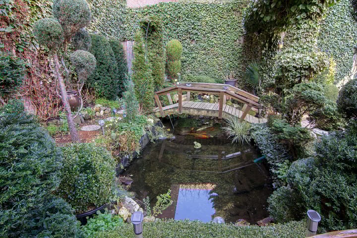 Foto 19 van Putstraat 13