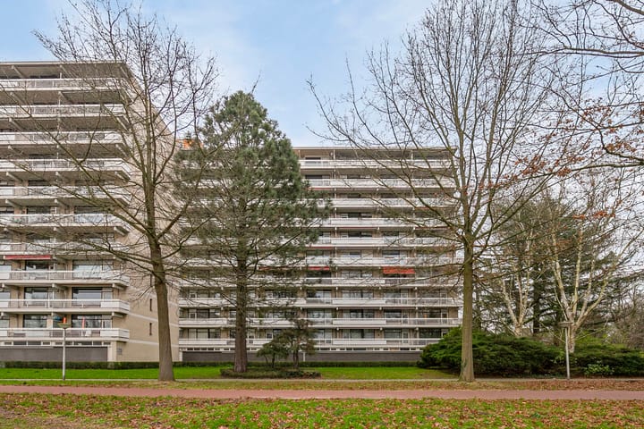 Foto 24 van de Koppele 247