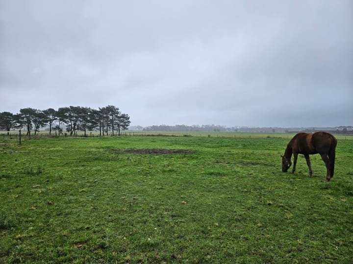 Foto 1 van Deurneseweg kavel 2