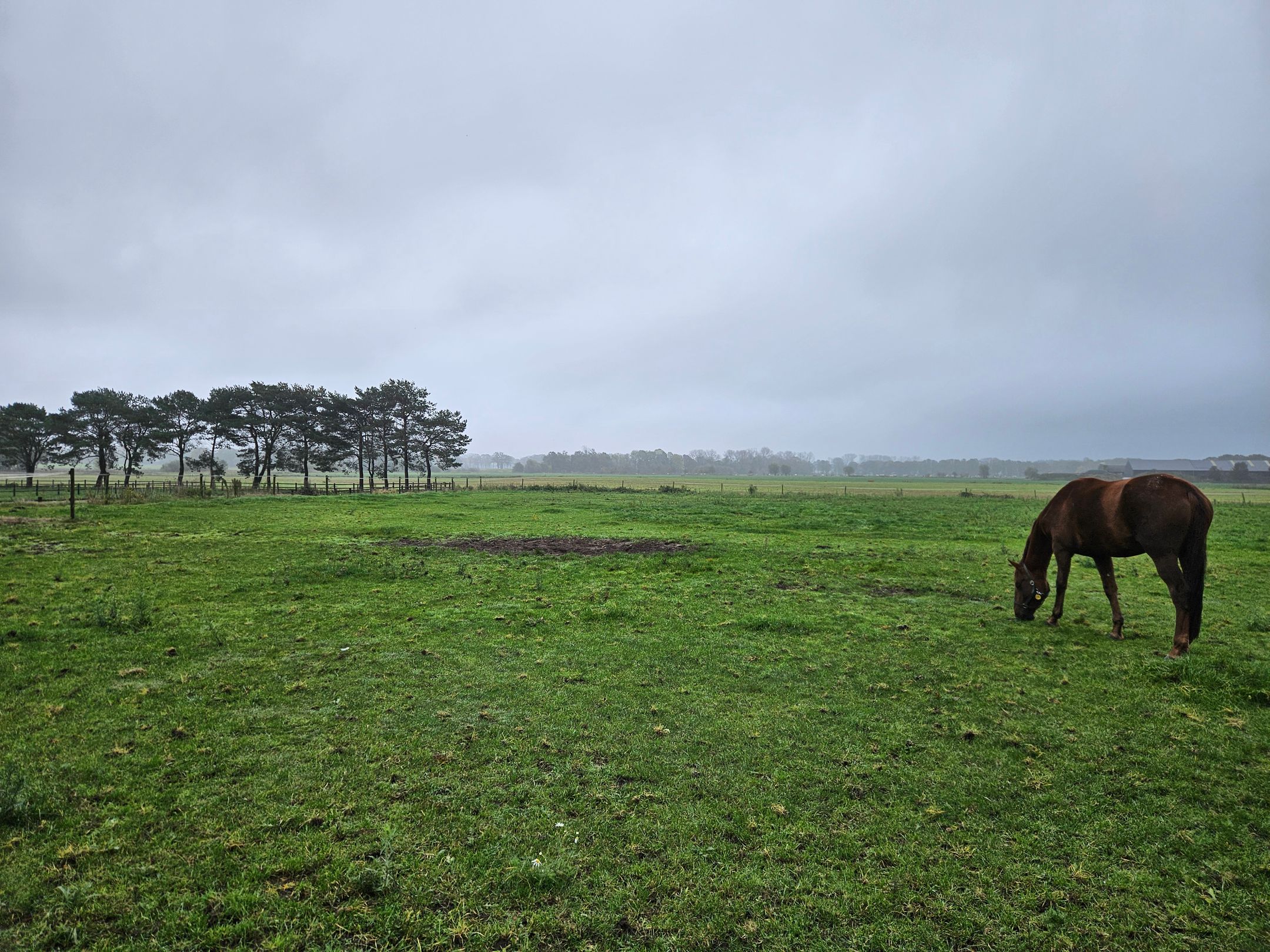 Deurneseweg kavel, Ommel, 5724AL, Noord-Brabant, Nederland