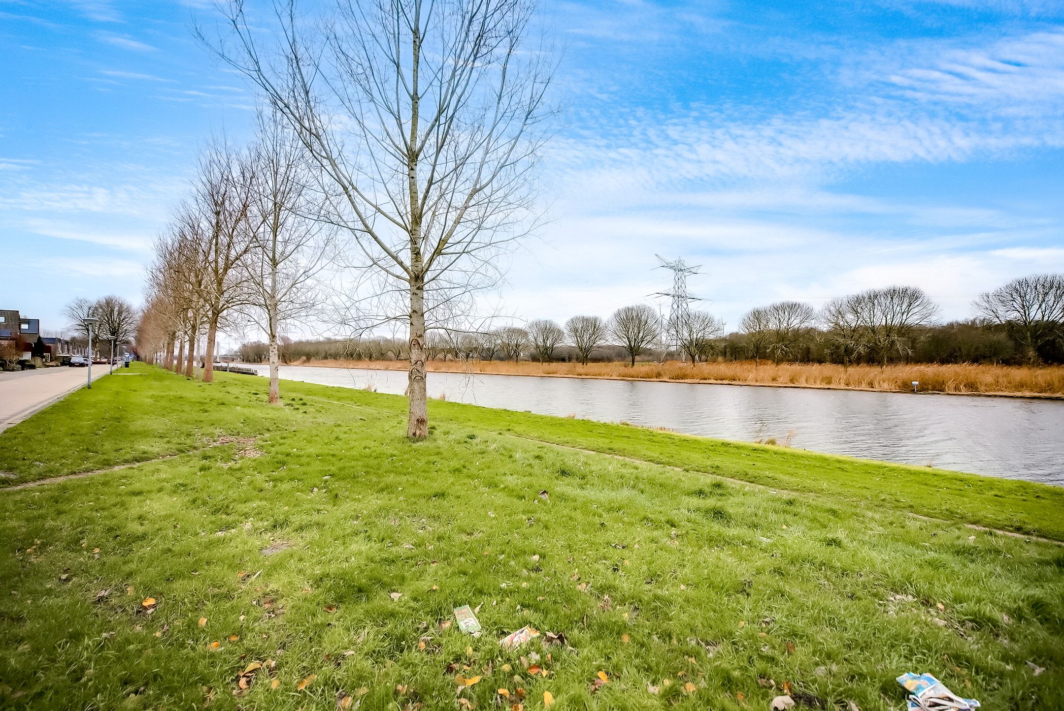 Photo 42 of Cliviastraat 4