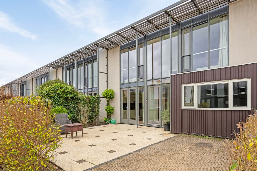 Foto 2 van Waterdrieblad 17