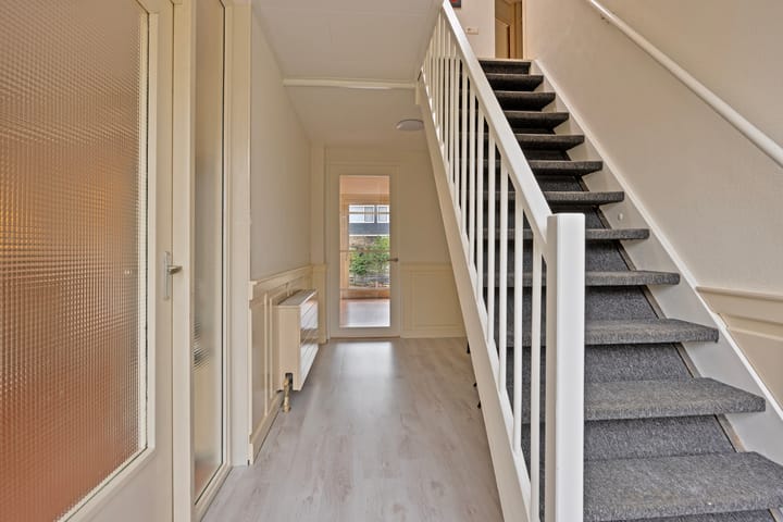 Foto 4 van Waterdrieblad 17