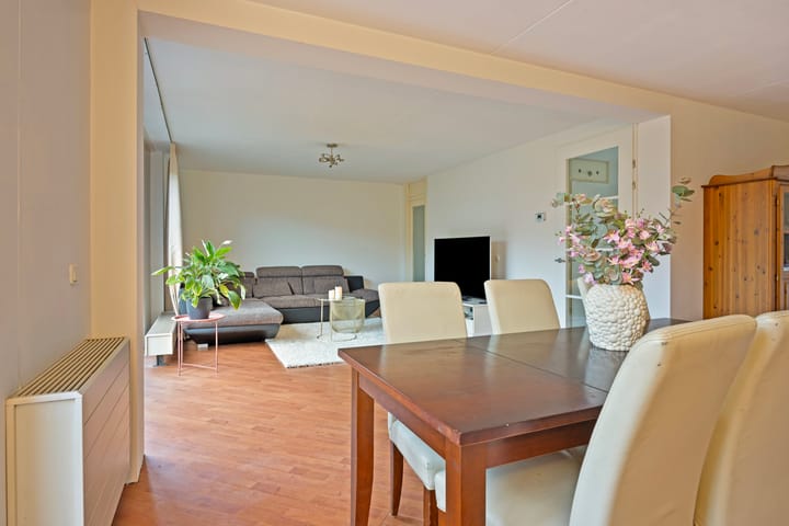 Foto 7 van Waterdrieblad 17