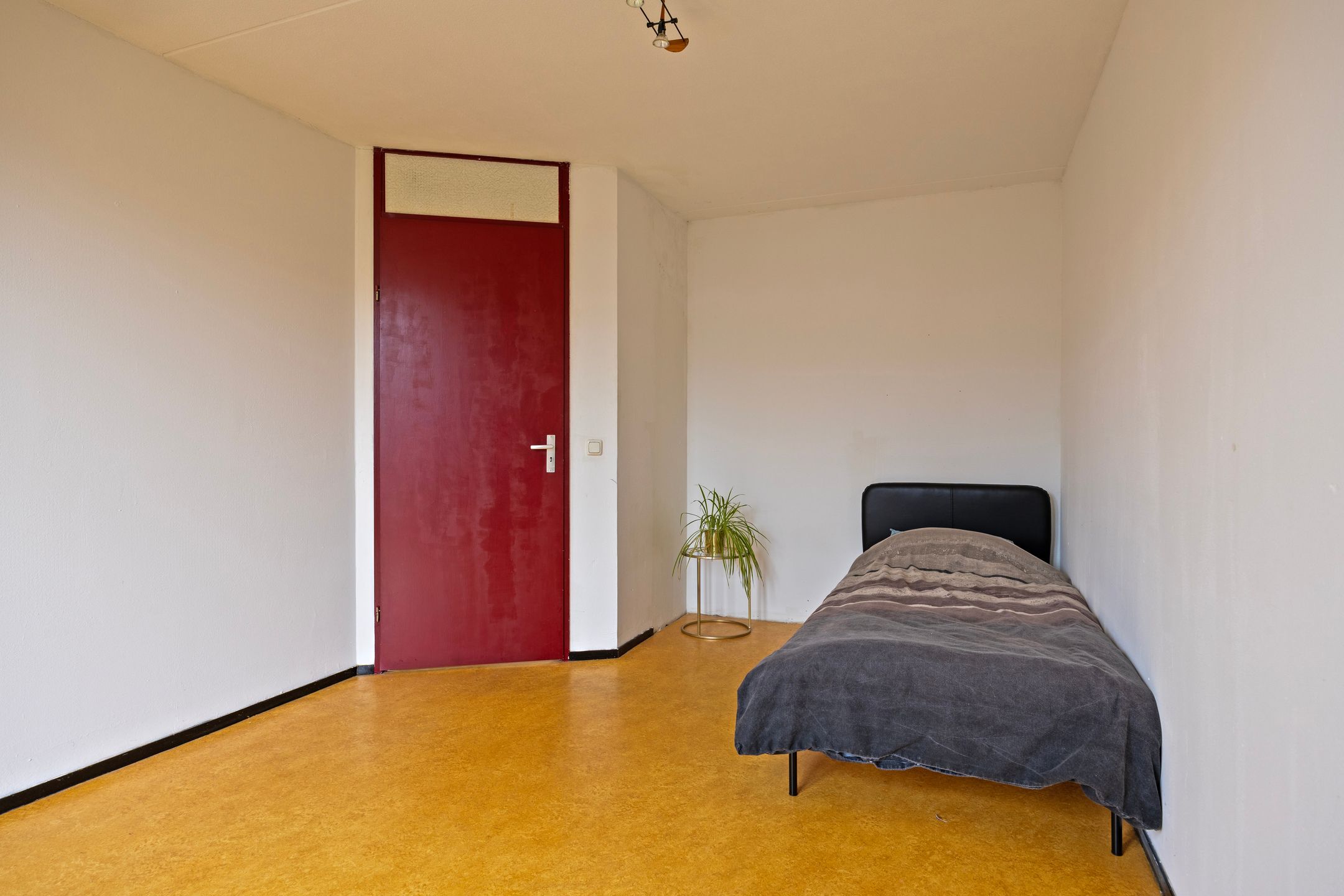 Foto 36 van Waterdrieblad 17