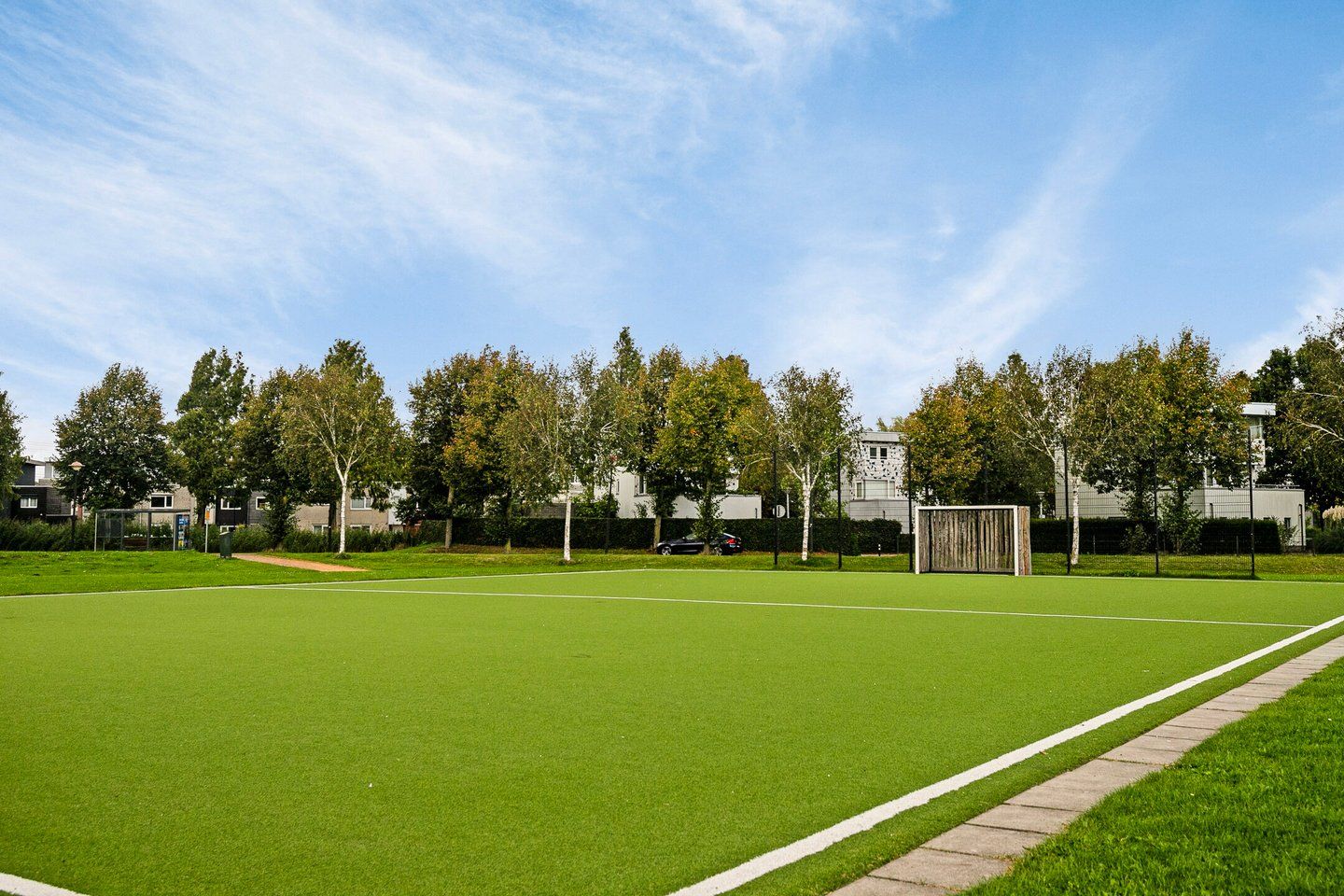 Foto 49 van Waterdrieblad 17