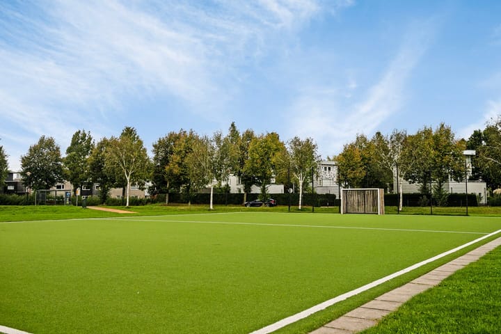 Foto 49 van Waterdrieblad 17