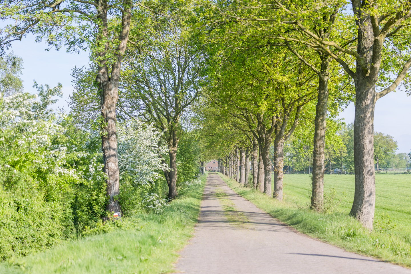 View photo 3 of Boekelterweg