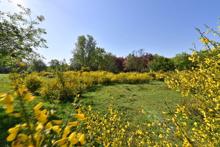 Foto 17 van Banckertlaan 23