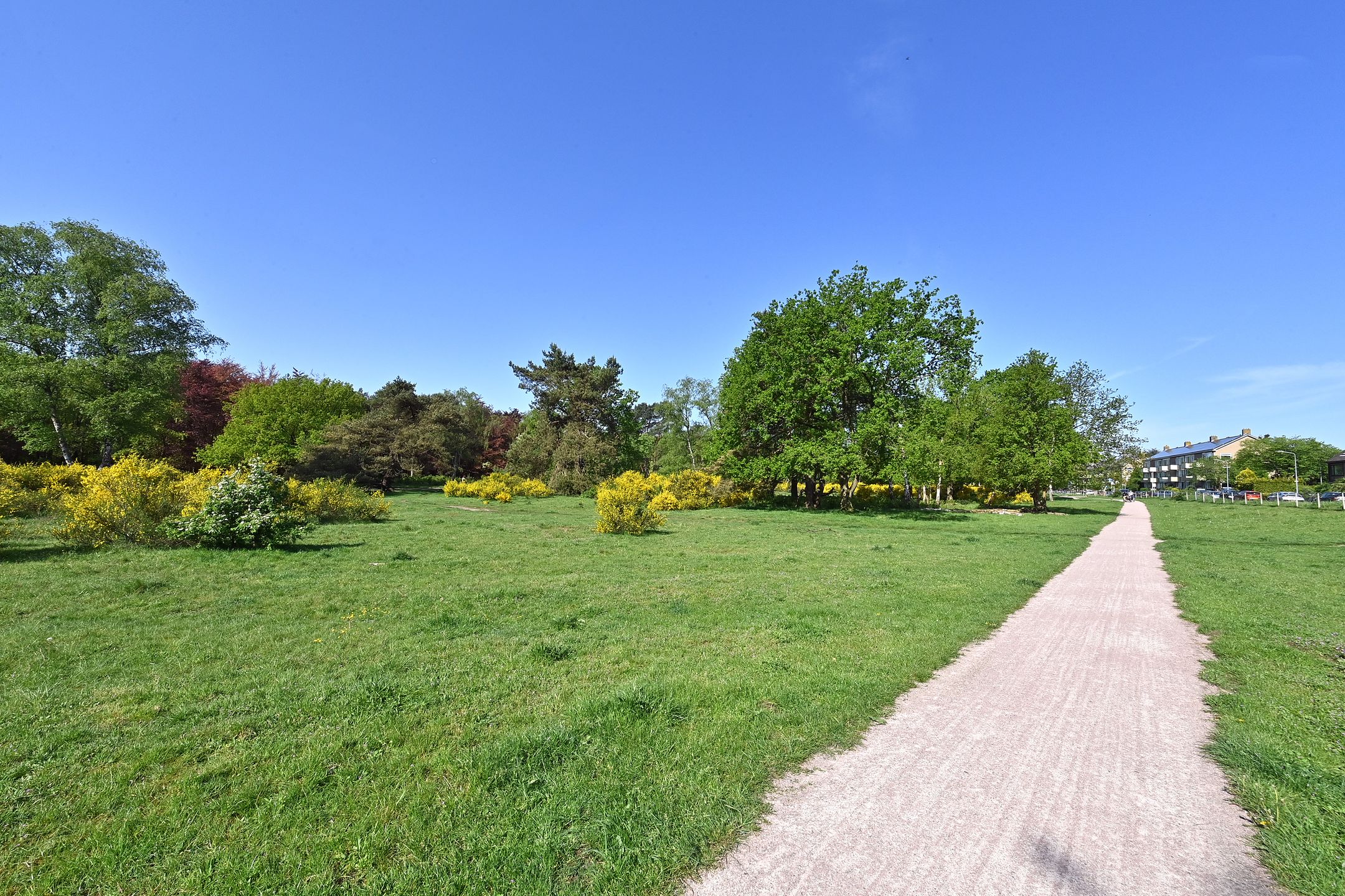 Foto 18 van Banckertlaan 23