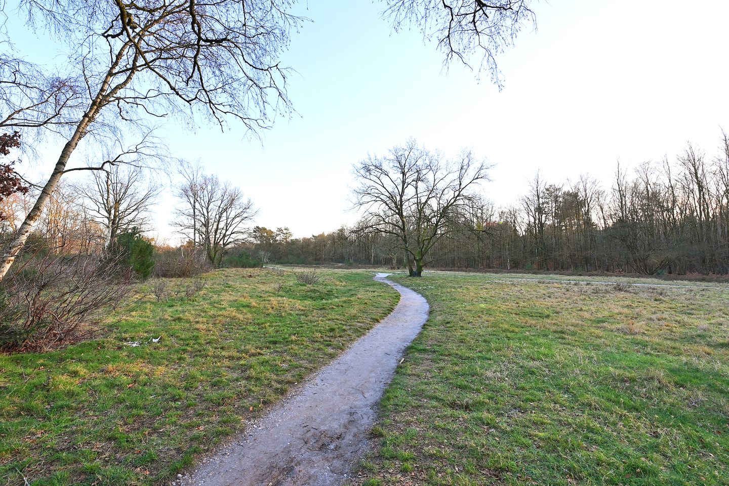 Foto 19 van Banckertlaan 23